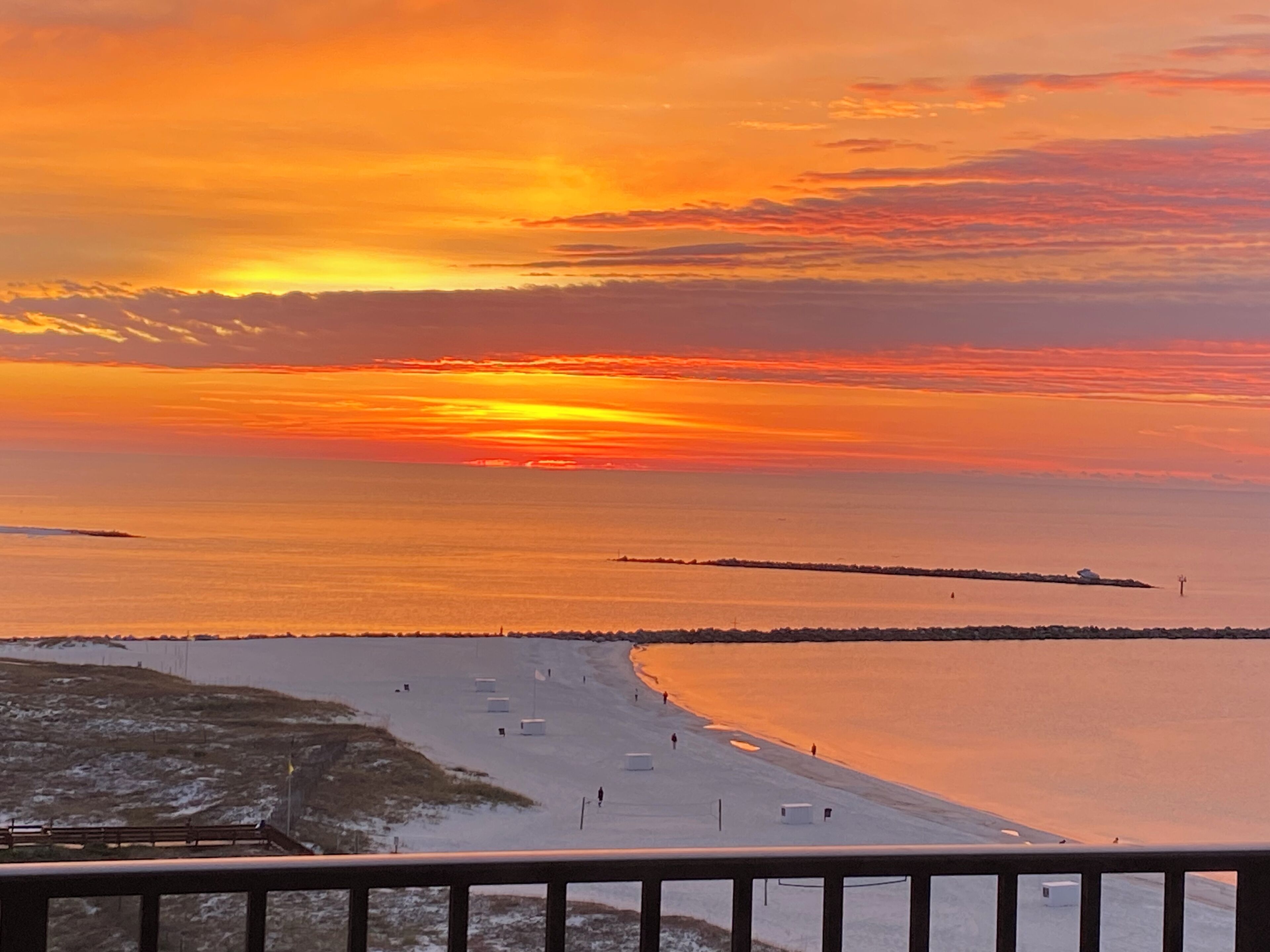 Most beautiful mornings on the balcony SO GRATEFUL !! 