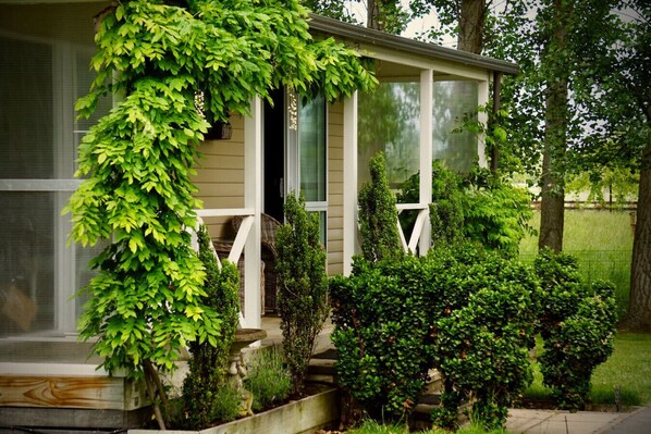 A house with a porch, a covered entryway, and a small garden area with various plants.