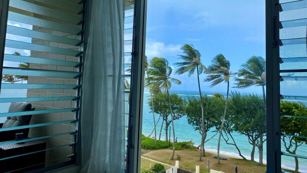A room with a large window overlooking a beach with palm trees and the ocean. - Beachfront & Oceanviews - New Furnishings (Hauula)