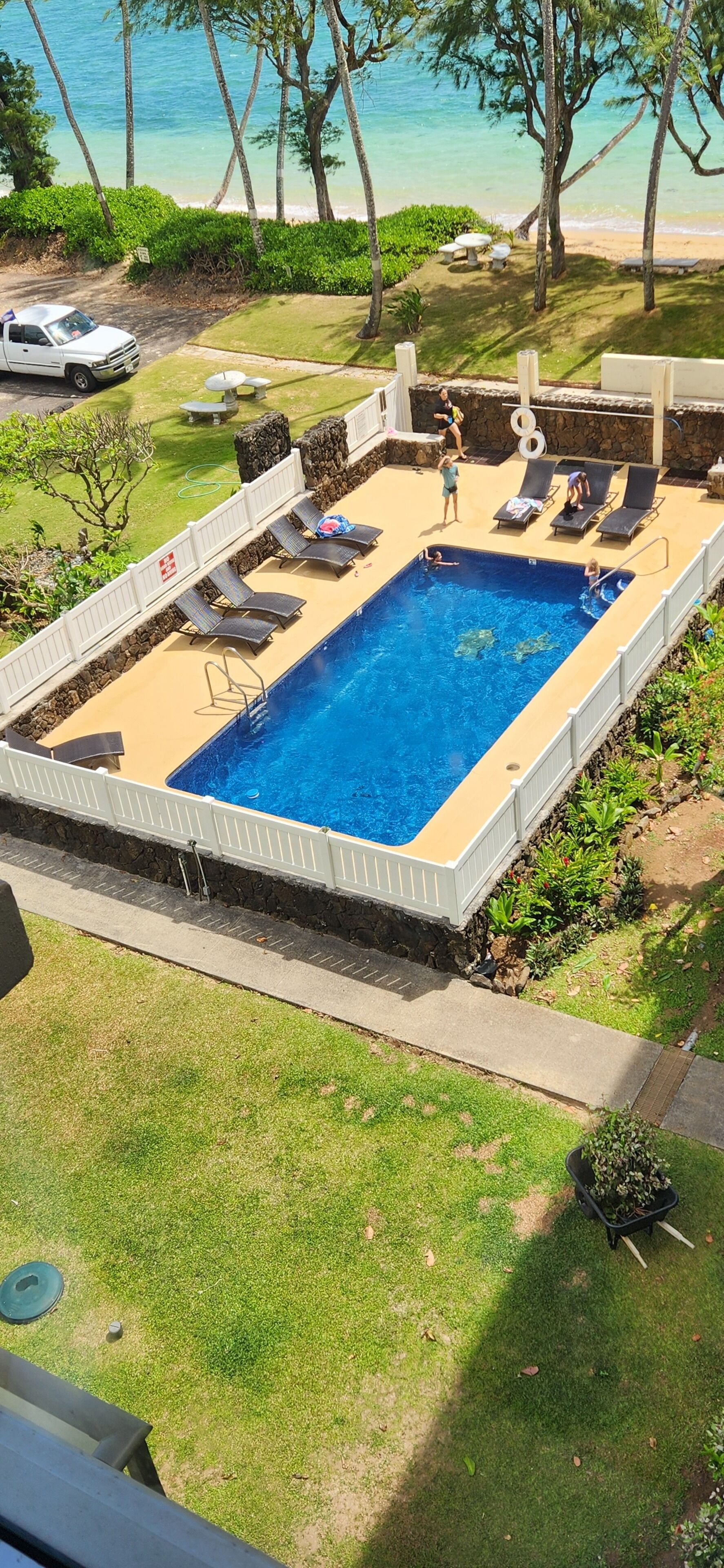 A rectangular swimming pool with a stone border, surrounded by a grassy area with lounge chairs and a view of the ocean.
