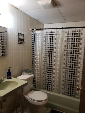 Bathtub, hair dryer, towels, soap