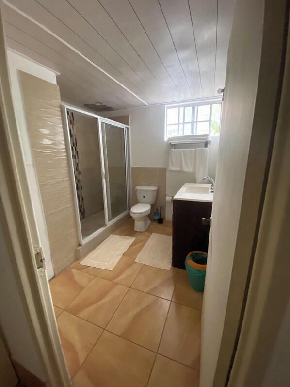 Ducha, toallas, papel higiénico