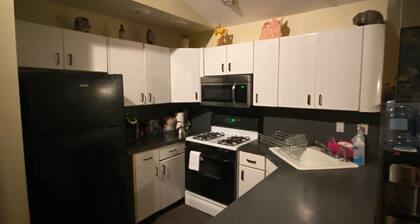 Private Apartment Near UBS Arena &JFK