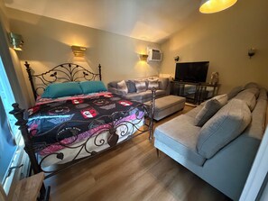 A bedroom with a bed, a sofa, a television, and a wall-mounted air conditioner. - Private Apartment Near UBS Arena &JFK (Elmont)