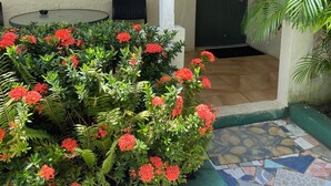 Ett takförsett utomhusområde med ett bord och stolar, en dörr samt ett urval av växter och blommor.