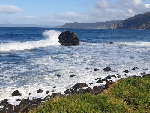 Secluded Cottage in bush and garden setting and close to the sea