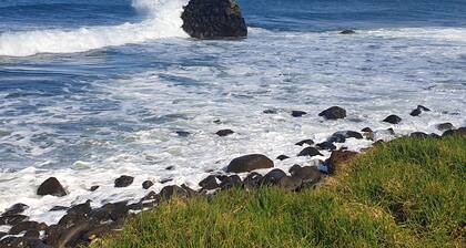 Secluded Cottage in bush and garden setting and close to the sea