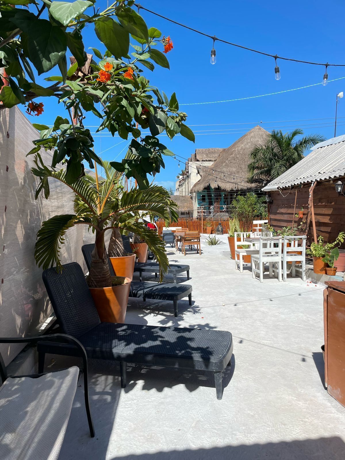 Photo - MAYAB Holbox