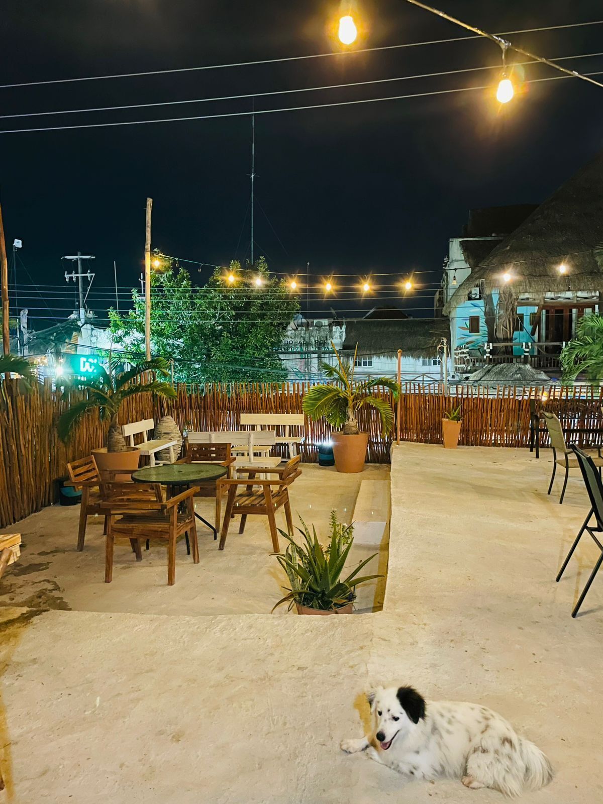 Photo - MAYAB Holbox