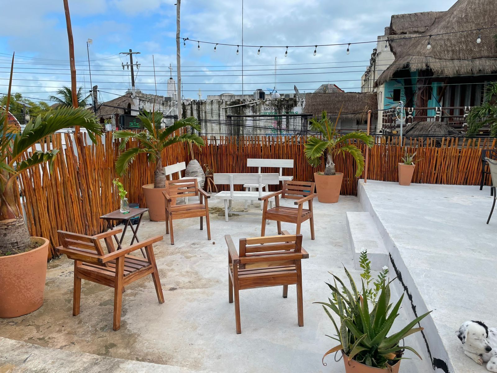 Photo - MAYAB Holbox