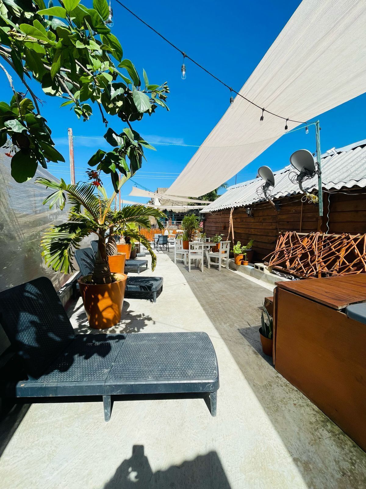 Photo - MAYAB Holbox