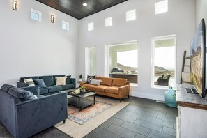 Smart TV, fireplace, books