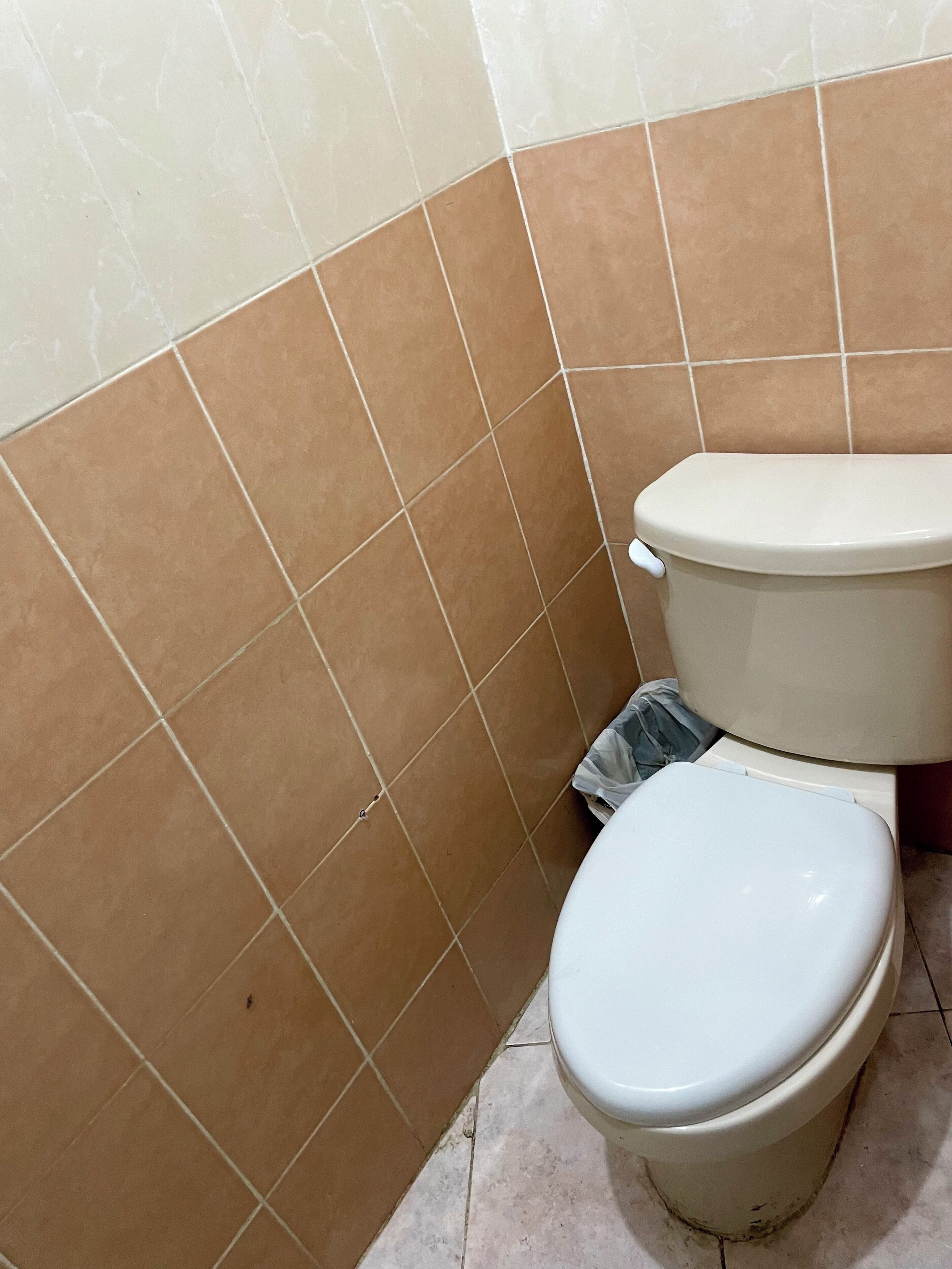Un baño con inodoro y bidé. Las paredes tienen baldosas con un diseño en tonos marrón y beige.