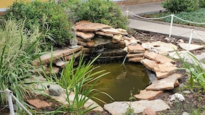 A small pond with a rocky waterfall, surrounded by greenery and a rope barrier.