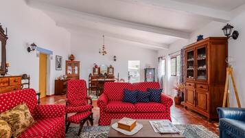 Televisión, chimenea y reproductor de DVD