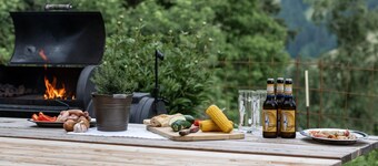 Appartement "Lettnerhof BnB 3" avec vues sur les montagnes, Wi-Fi, terrasse et jardin