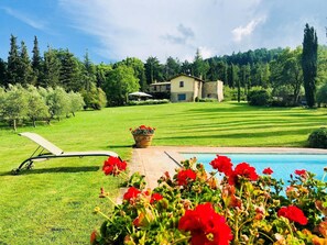 Área de piscina com gramado e uma casa ao fundo.