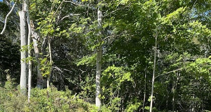 Situated on the beautiful Cabot Trail overlooking the Margaree river