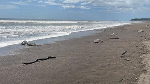 Beach - Beautiful House just 15 min by car from Playa Samara and Carrillo (Guanacaste)