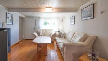 Fernseher, DVD-Player, Stereoanlage