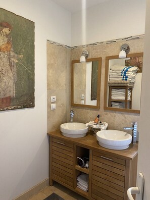 Shower, hair dryer, towels