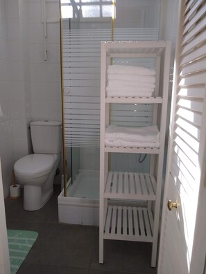 Shower, hair dryer, towels, toilet paper