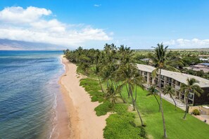 On the beach - Stunning Beachfront - Hale Kai O Kihei 112 (Kihei)
