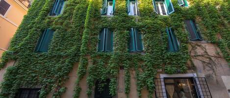 A building with multiple windows covered in green ivy, a black door, and a small balcony with a railing.