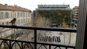 Property grounds - Apartment in the center of Avignon (Avignon)
