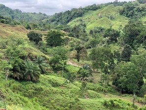 Property grounds - Working126 hectares (roughly 300 acres) cattle ranch/finca provided with horses. (Cimitarra)