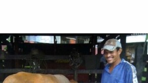 منوع