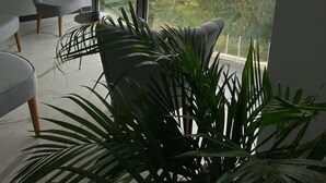 Una sala de estar moderna con ventanas amplias, un sofá gris, una mesita redonda pequeña y una planta en maceta.