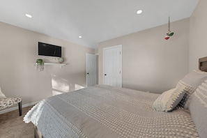 Un dormitorio con cama, televisor montado en la pared, puerta y planta colgante.