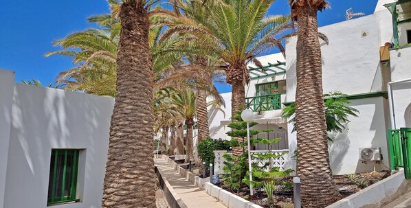 Terrein van de accommodatie