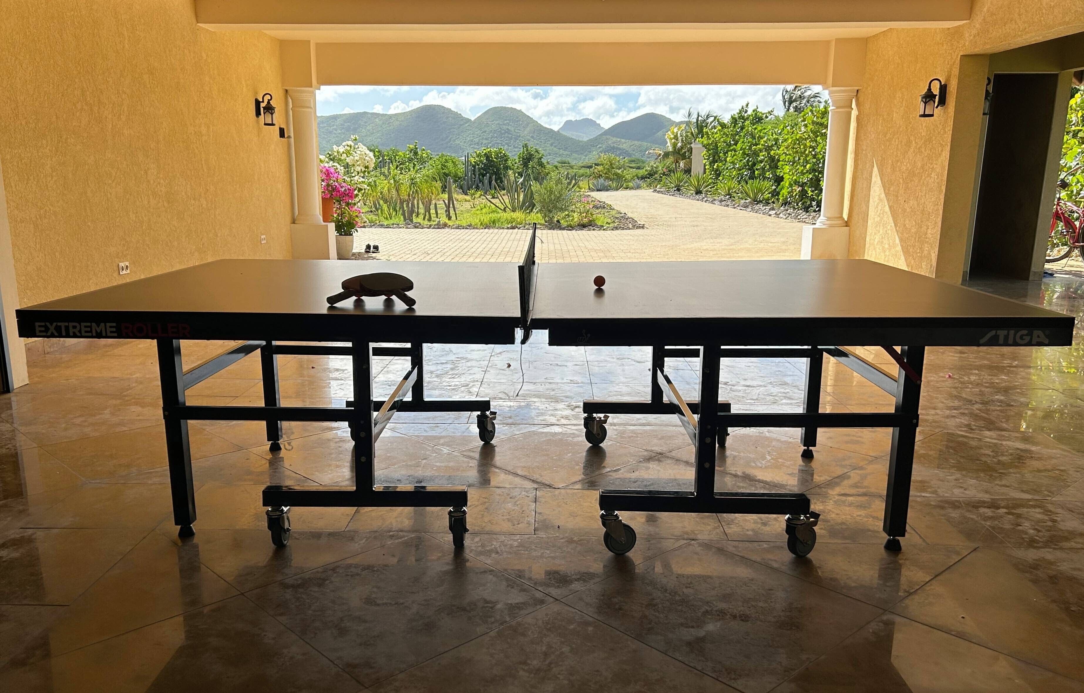 A ping pong table in a room with a view of a landscaped garden and mountains.