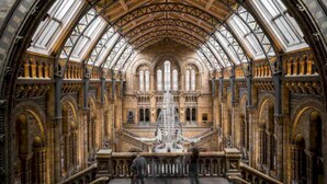 A grand hall with high vaulted ceilings and arched windows, featuring a central sculpture and a staircase.