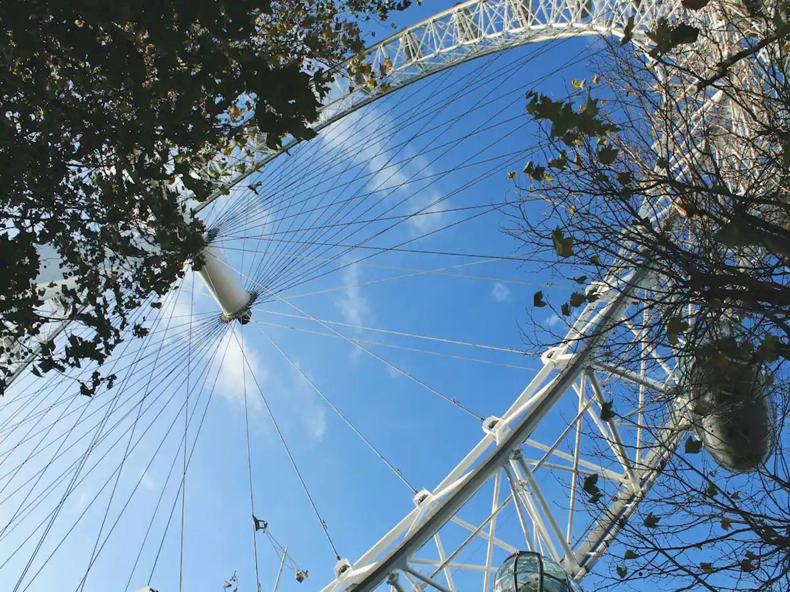 Una ruota panoramica con cielo sereno e alcuni alberi sullo sfondo.