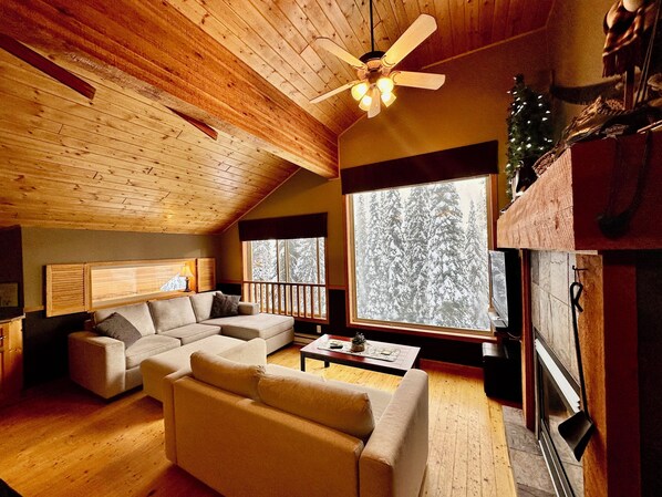 TV connectée, cheminée, jeux vidéo, lecteur de DVD