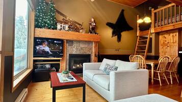 TV connectée, cheminée, jeux vidéo, lecteur de DVD