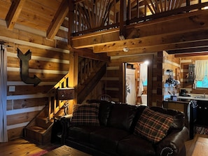 TV, fireplace, DVD player, music library