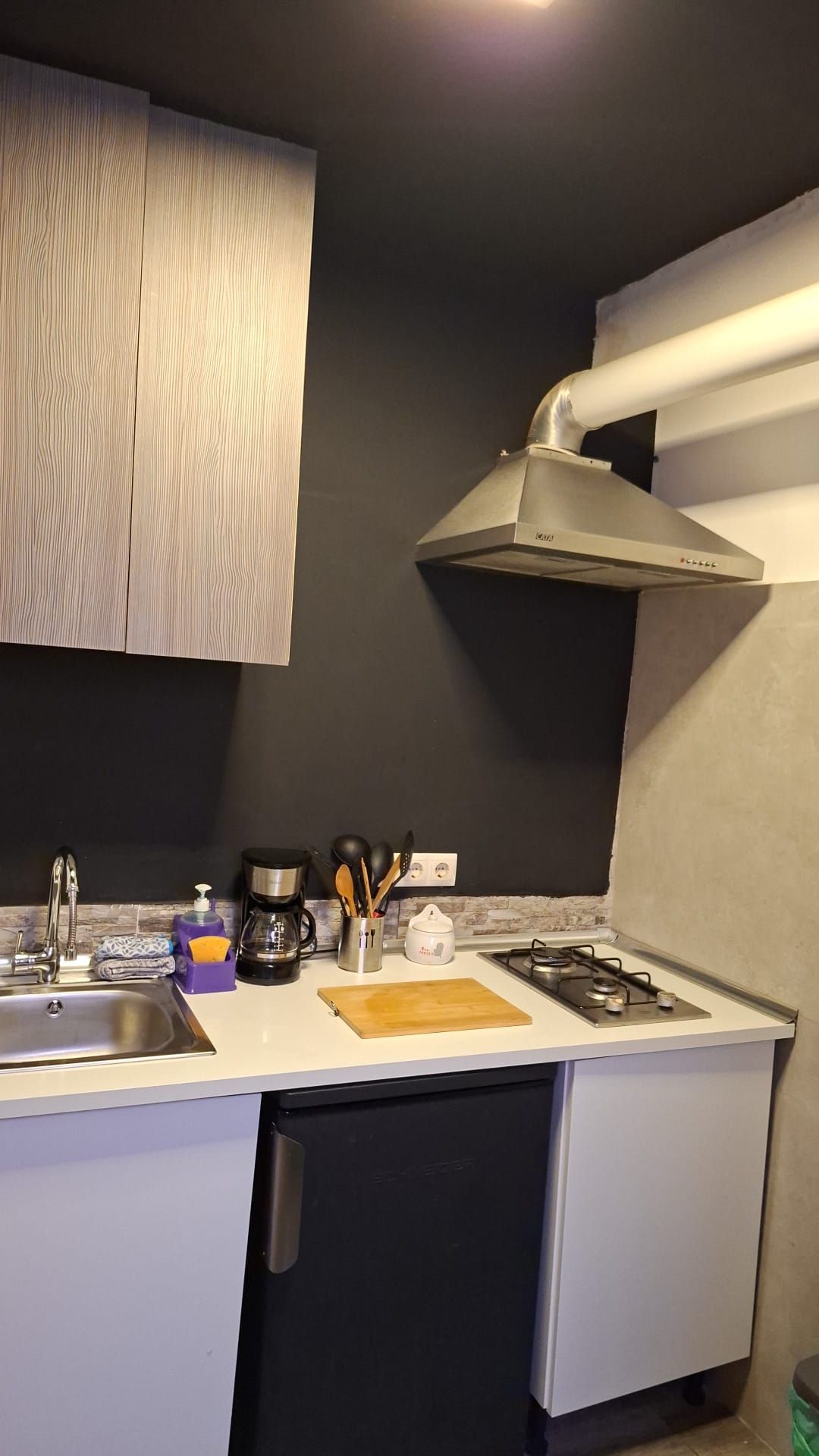 Cocina compacta con lavavajillas integrado, estufa a gas y extractor de acero inoxidable.