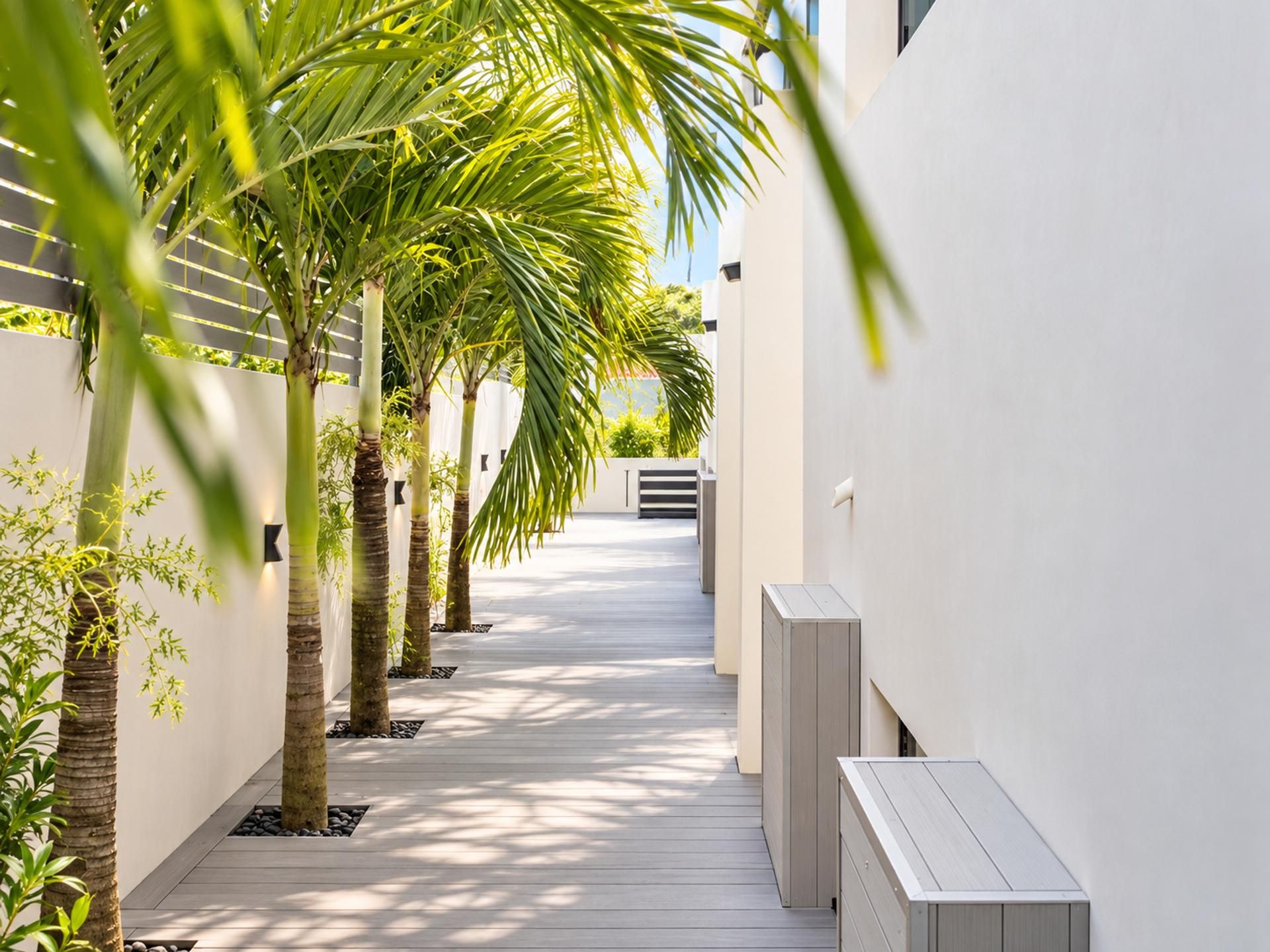 A narrow pathway flanked by palm trees and white walls, leading to a building with a sloped roof.