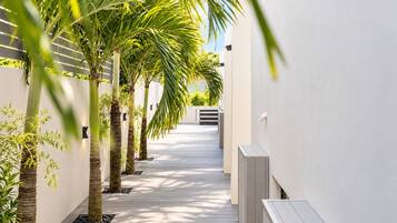 A narrow pathway flanked by palm trees and white walls, leading to a building with a sloped roof.