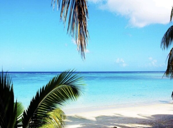 Apartment | Beach