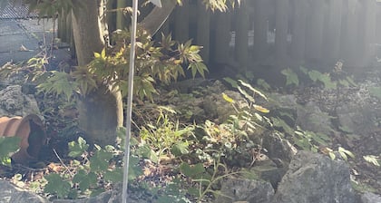 Ferienwohnung Am Franziskanergarten "Apartment Benediktenwand", mit Balkon