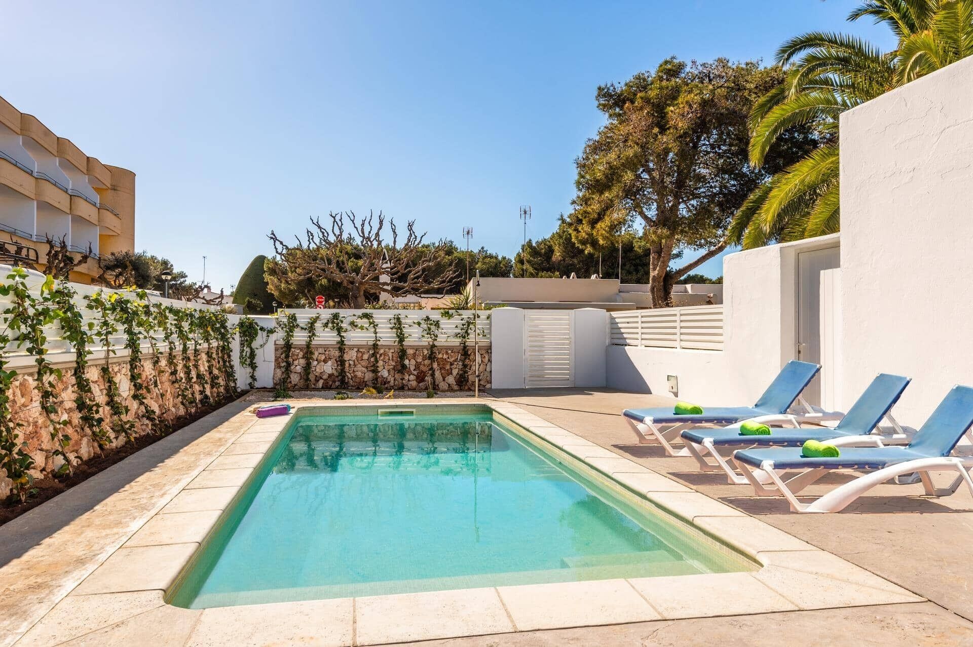 A rectangular swimming pool with a stone border, surrounded by a white wall and a stone wall with climbing plants. There are blue lounge chairs with green towels.