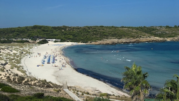 A beach with a sandy shore, a few palm trees, and a building in the background. - Villa Casa Feliz by Villa Plus (Son Parc)