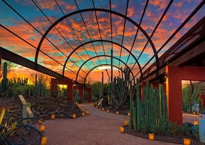 A desert garden with a metal archway, cacti, and a sunset sky.