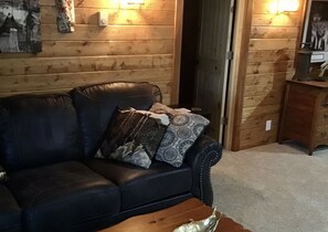 Smart-TV, Kamin, DVD-Player, Videothek