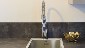 Une cuisine moderne avec un évier en acier inoxydable, une plante aux feuilles dorées et un bol décoratif posé sur le plan de travail.
